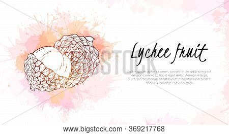 Horizontal Banner With Lychee Tropical Fruit Illustration With Pink And Red Watercolor Splashes. Ske