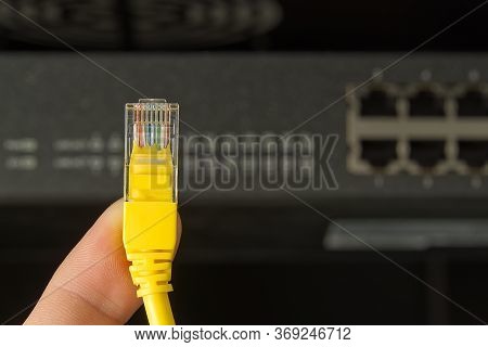 Network Switch And Ethernet Cable In Rack Cabinet. Network Connection Technology Thrue Cat6 And Cat5
