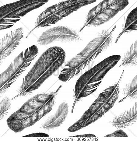 Freehand Drawing Quill Of Fethers Birds. Tribal Seamless Pattern. Isolated On White Background In Gr