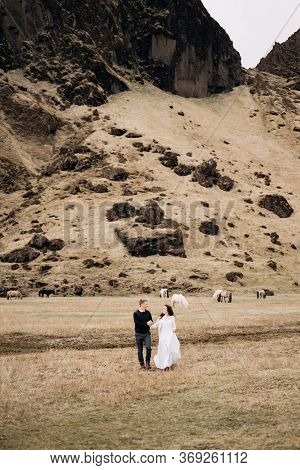 Wedding Couple On The Background Of A Rocky Mountain And Grazing Horses In Iceland. The Bride And Gr