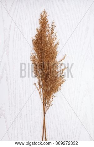 Bunch Of Reeds On White Wooden Background.