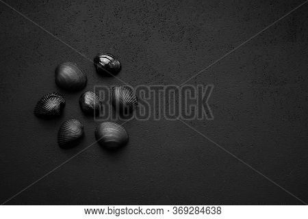 Trendy Minimalistic Matte Black Background With Shells.