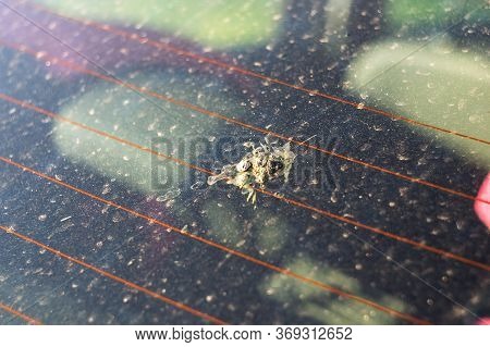 Bird Guano On A Car. Piece Of Bird Shit On The Car Window. Rear Car Window With White Bird Droppings