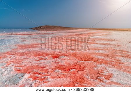 Brine And Salt Of A Pink Lake Koyash Colored By Microalgae Dunaliella Salina, Famous For Its Antioxi