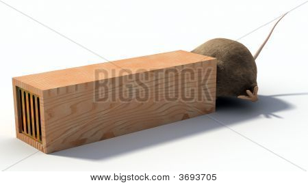 Ratoeira