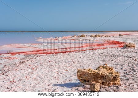 Brine And Salt Of A Pink Lake Koyash Colored By Microalgae Dunaliella Salina, Famous For Its Antioxi