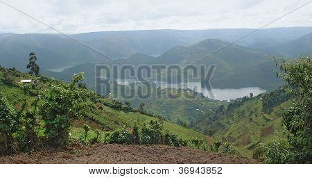 Virunga Dağları Afrika