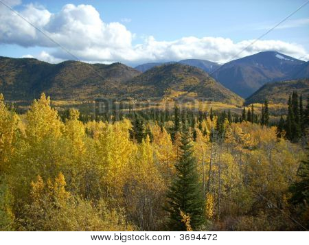 山