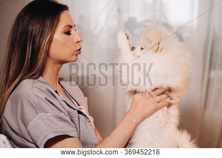 A Girl In Pajamas Sits In Bed At Night With Her White Dog Watching A Laptop And Eating Sweets.girl W