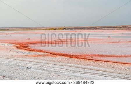 Brine And Salt Of A Pink Lake Koyash Colored By Microalgae Dunaliella Salina, Famous For Its Antioxi