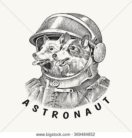 Two Dogs Husky Astronauts In A Spacesuit. The First Cosmonauts In Space. Fashion Animal Character La