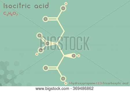 Large And Detailed Infographic Of The Molecule Of Isocitric Acid