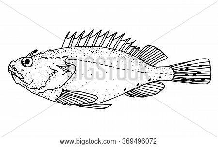 Black Scorpionfish. Black Hand Drawn Realistic Outline Vector Image.