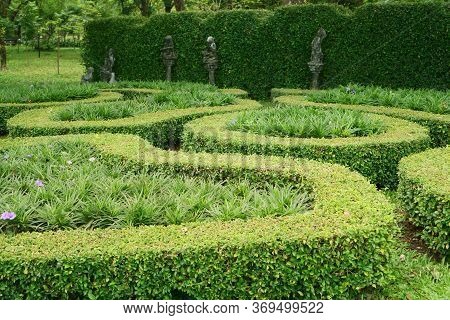 A Small Pattern Of English Cottage Garden Style,fukien Tea Cutted Wall And Sculptures In Background