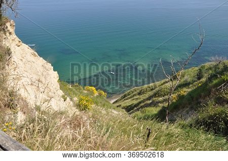 San Bartolo Regional Park Marche Region - Broom Trees And Transparent Green Sea Water