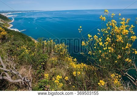 Vallugola Bay Landscape And \
