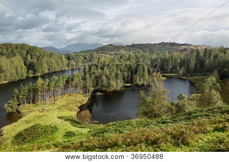 Vista sopra Tarn Hows In inglese Lake District