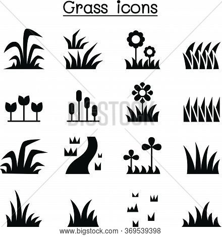 Grass Icon Set Vector Illustration Graphic Design