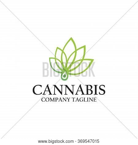 Cannabis Logo Vector And Templates Natural Green