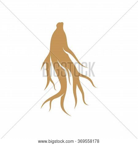 Ginseng Logo Design Vector Template. Ginseng Root On White Background