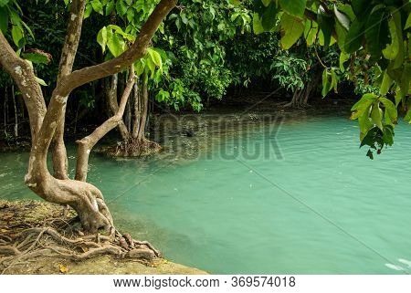 Krabi, Thailand - January,  2014: Sa Morakot Or Emerald Pool In The Khao Pra Bang Khram Wildlife San