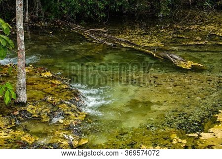 Krabi, Thailand - January,  2014: Khao Pra Bang Khram Wildlife Sanctuary