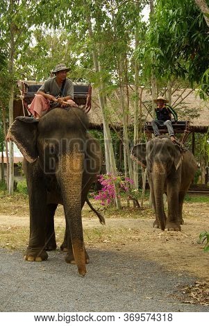 Koh Chang, Thailand - January, 2013: Elephant Trekking On Koh Chang, Thailand