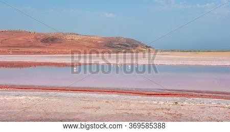 Brine And Salt Of A Pink Lake Koyash Colored By Microalgae Dunaliella Salina, Famous For Its Antioxi