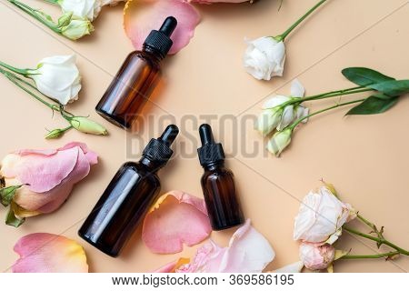 Creating Homemade Cosmetics With Natural Extracts. Serum With Roses Petals. Skin Care Concept. Natur
