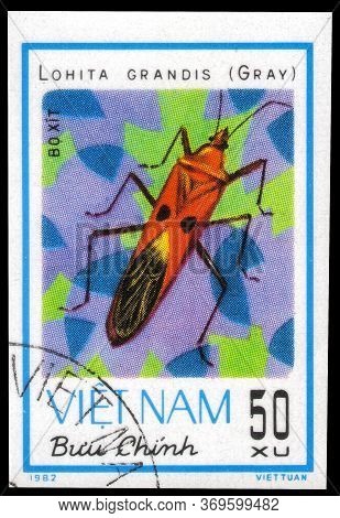 Saint Petersburg, Russia - May 31, 2020: Postage Stamp Issued In The Vietnam With The Image Of The G