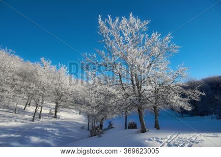 frozen forest in winter mountains of Sicily tourism outdoor activity