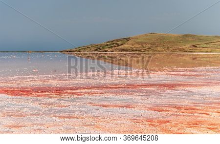 Brine And Salt Of A Pink Lake Koyash Colored By Microalgae Dunaliella Salina, Famous For Its Antioxi