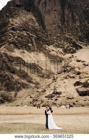Wedding Couple On The Background Of A Rocky Mountain And Grazing Horses In Iceland. The Groom Holds 