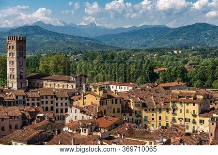 Aerial View Of Lucca From The Guinigi Tower (torre Dei Guinigi) With The Basilica Of San Frediano An