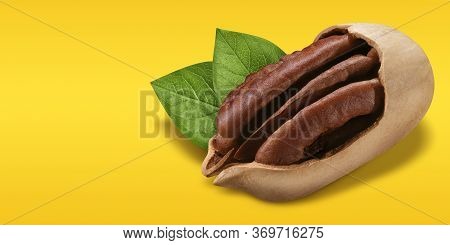 Pecan Nut Open In Shell With Crack Isolated On Yellow And Orange Background. Concept Of Pecan Nut Cl
