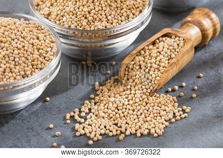 The Yellow Mustard Or Also Called White Mustard, Are The Whole Seeds Of Brasica Alba Coming From The