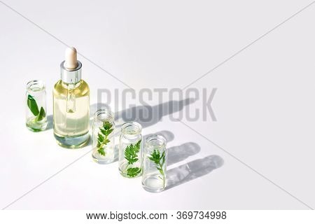 Natural Cosmetic Product, Serum For The Care And Beauty Of Skin And Hair. Homeopathic Vegetable Oils