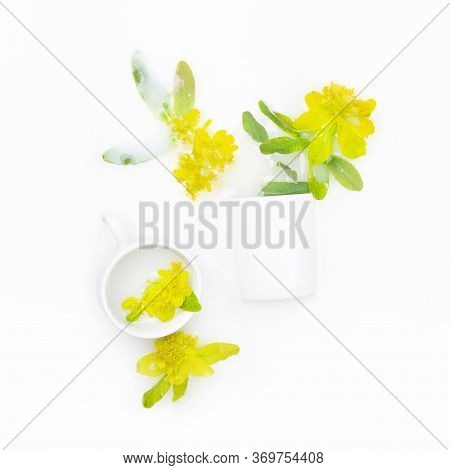 Spurge Flowers In White Bowls Float In Milk. Copy Space, Flat Lay. The Concept Of Purity, Tenderness