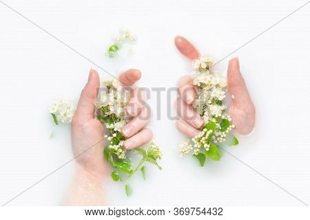 The Palms Of A Girl In A Bath With Milk And Flowers. The Concept Of Purity, Tenderness, Freshness, Y