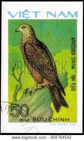 Saint Petersburg, Russia - May 31, 2020: Postage Stamp Issued In The Vietnam With The Image Of The B