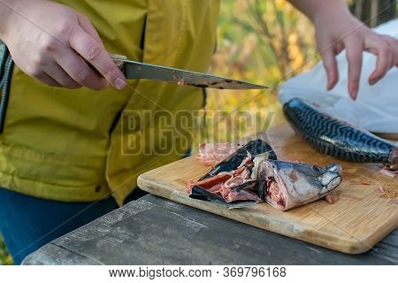 Disemboweled Fish Is Lying On The Table On The Kitchen Cutting Board Against The Background Of A Gir