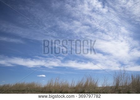 Prairie Grasslands Waving In The Wind Background Under A Deep Blue Sky With Clouds In Alberta Canada