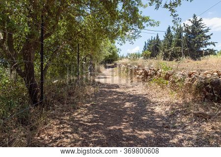 The Path Leading To The Lavra Netofa Monastery Near The Village Of Hararit In Northern Israel