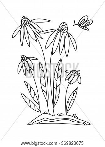 Coloring Book With Wild Flowers For Adults And Children. Linear Drawing Of Wildflowers And Butterfli
