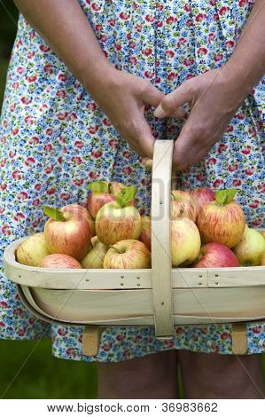 Frau mit frischen Äpfeln In eine hölzerne Trug