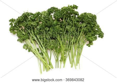 A Studio Photograph Of A Bunch Of Garden Parsley