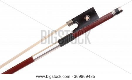 Violin Bow Isolated At Dry Sunny Summer Day