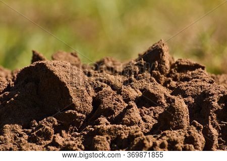 Damp Fertile Sandy Soil Dirt Heap, Mossel Bay, South Africa