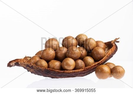 Organic Macadamia Nuts - Macadamia Integrifolia. Text Space