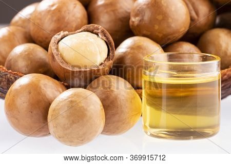 Nuts And Macadamia Oil - Macadamia Integrifolia.
